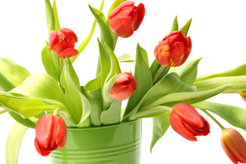 Blumentopf mit Tulpen