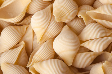 shell pasta
