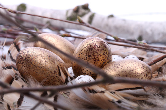 Golden eggs