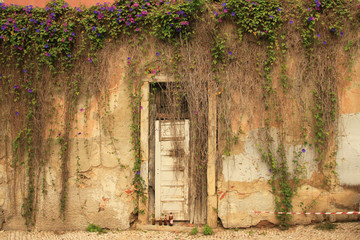 Old door (Portugal) 