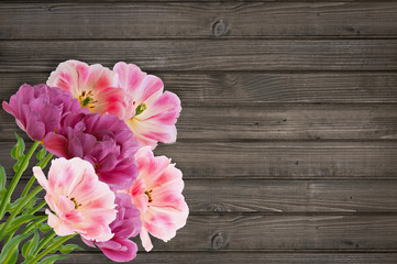 Beautiful bouquet of  tulips on  wooden background