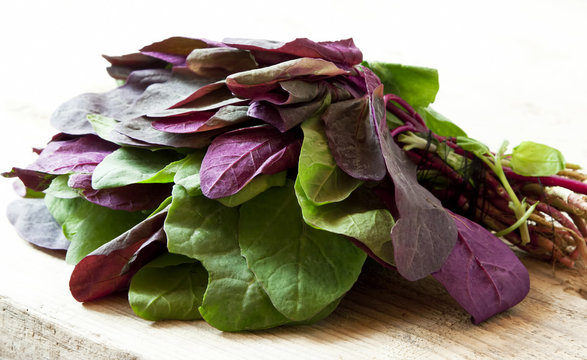 Orach