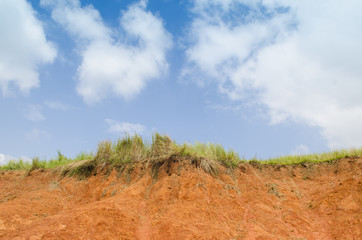 A cut of soil with different layers visible and grass on top