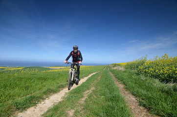 Fototapeta premium vtt au printemps