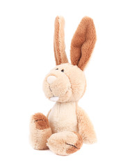 Adorable generic stuffed bunny.