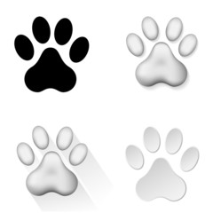 Animal footprints