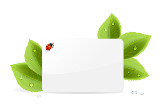 Paper card with ladybug