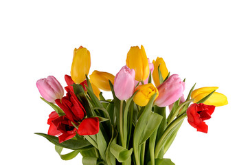 Colorful bouquet of fresh spring tulip flowers isolated on white