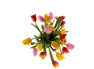 Obraz na płótnie Canvas Colorful bouquet of fresh spring tulip flowers isolated on white