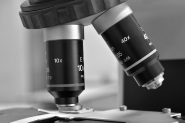 the Microscope in Laboratory