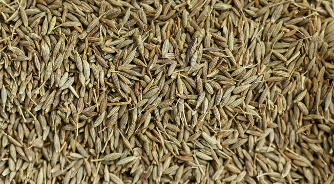 cumin seeds background