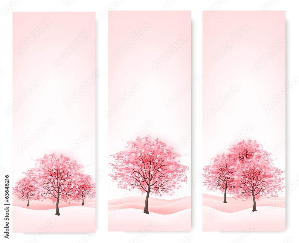 Poster three spring banners with blossoming sakura trees. vector.