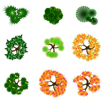 Trees item top view for landscape design / vector icon