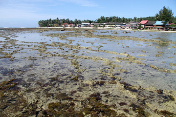Pantai Sorake