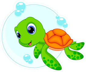 Cute turtle cartoon