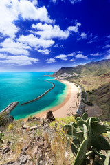 Obraz premium Playa de Las Teresitas general view vertical