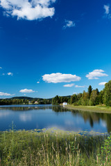 Peaceful lake at Dikemark vertical