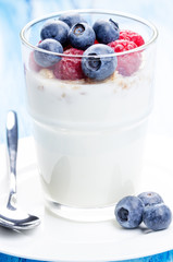 Berry desert in glass macro