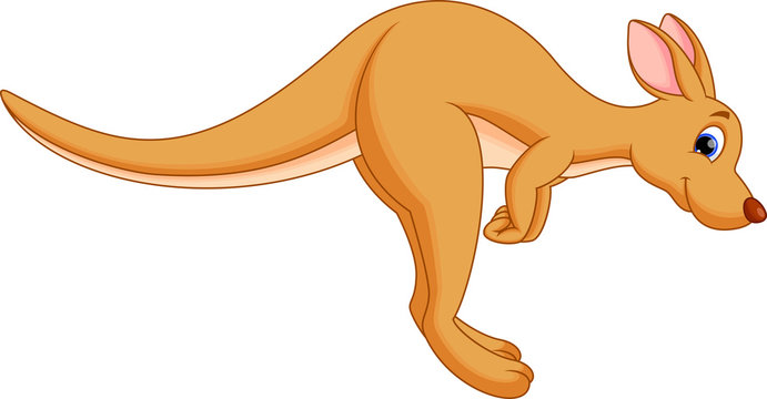 Funny kangaroo cartoon