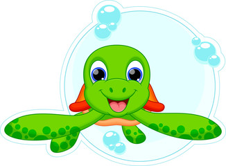 Cute turtle cartoon