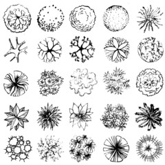 A set of treetop symbols, for architectural or landscape design