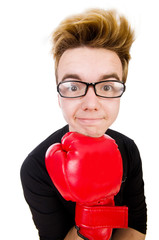 Funny boxer isolated on the white background