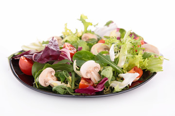 vegetable salad with mushroom