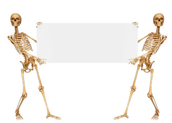 3d skeletons with sign
