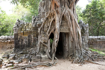 angkor wat detail