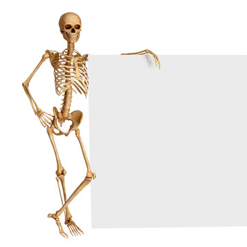 human skeleton with sign