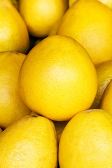 Pomelo fruit background. Pomelo fruit on a market closeup. Citru