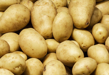 White Potato background. Food background. Group of potatoes on d