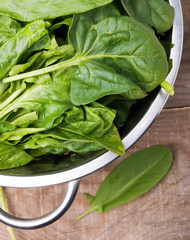 Fresh spinach and sorrel