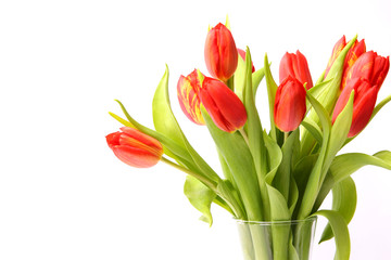 Grußkarte mit Tulpen