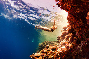 girl and corals in the sea