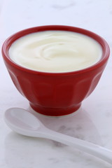 Fresh plain yogurt