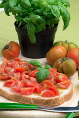 Pane e pomodoro