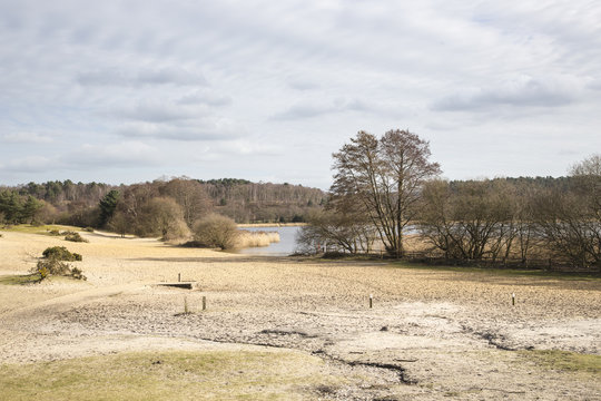 Frensham Great Pond, Surrey, UK, lake and sandy beach area