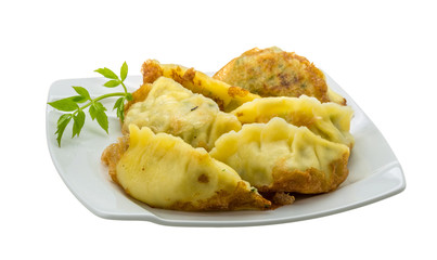 Japan dumplings - gyoza