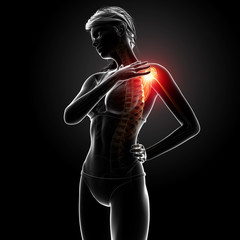 3d Anatomy of female shoulder pain in black