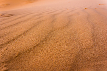 Texture of the Sahara