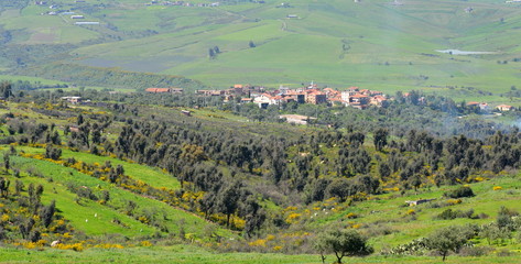 grande kabylie © rachid amrous