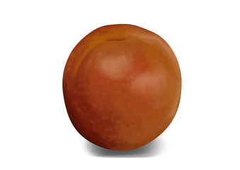 Simple, realistic brown, purple pluot illustration, front view.