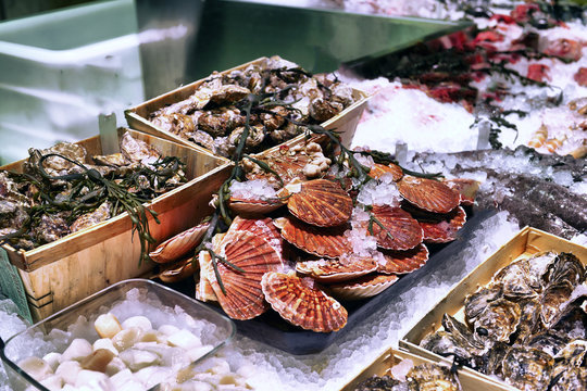 showcase of seafood