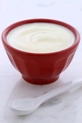 Fresh plain yogurt