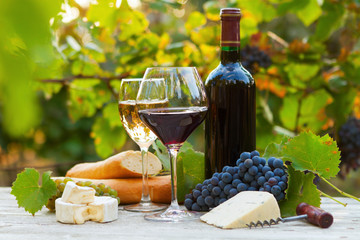 Two glasses of red and white wine