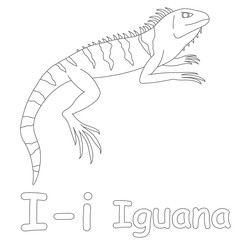 I for Iguana Coloring Page