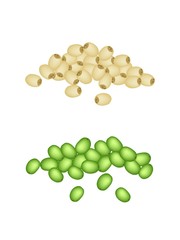 Stacks of Lotus Seeds on White Background