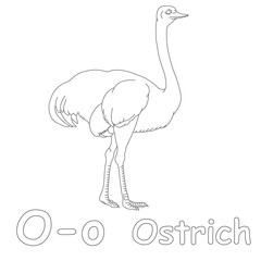 O for Ostrich Coloring Page