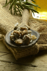 Capparis spinosa Echter Kapernstrauch Каперсы колючие